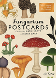 Fungarium Postcards，【欢迎来到博物馆】蘑菇馆明信片