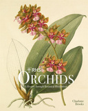 RHS Orchids，皇家园艺协会：兰花 插画图鉴