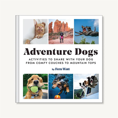 Adventure Dogs，探险狗