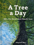 A Tree a Day，一日一树