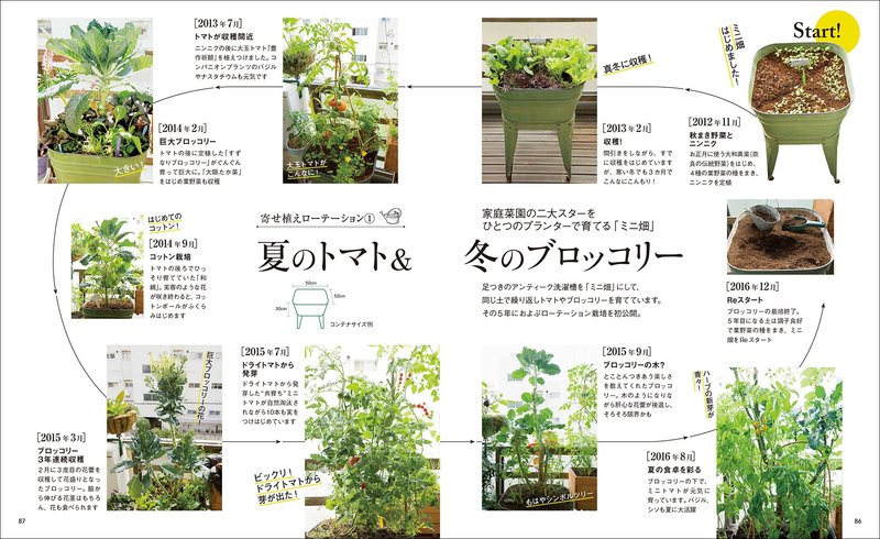 ベランダ寄せ植え菜園在阳台打造菜园 善本图书spbooks