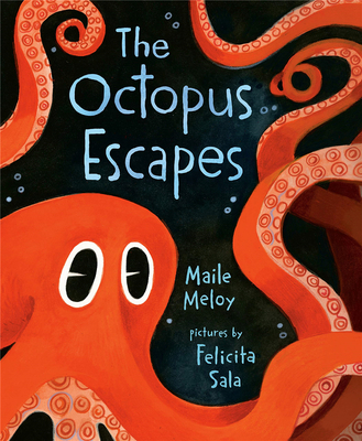  The Octopus Escapes，【Felicita Sala】章鱼逃跑