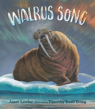 Walrus Song，海象之歌
