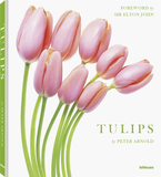Tulips，郁金香