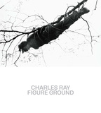 Charles Ray: Figure Ground，查尔斯·雷：图案背景