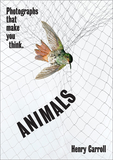 ANIMALS: Photographs That Make You Think，动物：让你思考的照片