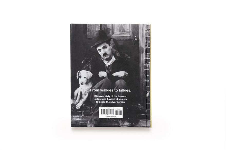 this charming and adorable co