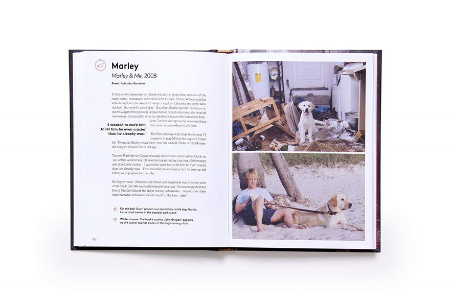 this charming and adorable co