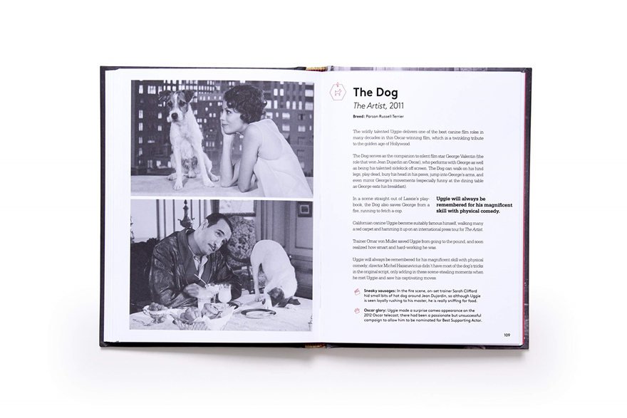 this charming and adorable co