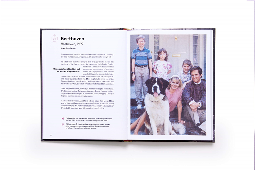 this charming and adorable co