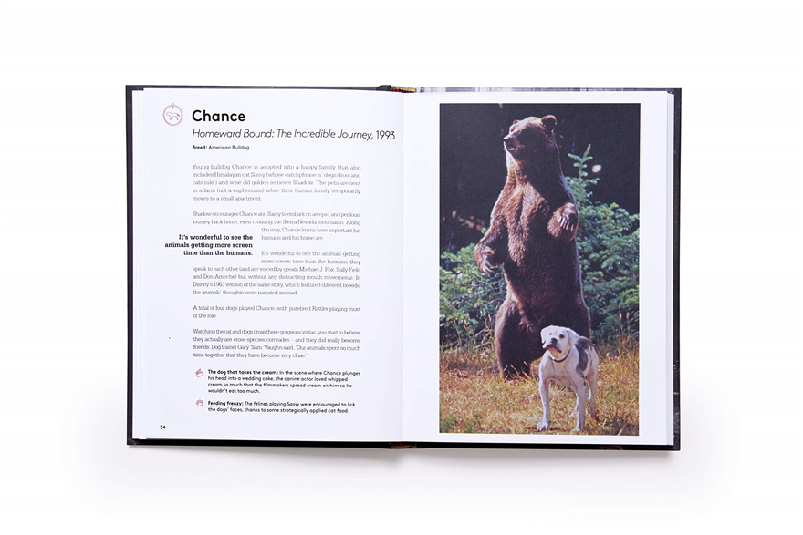 this charming and adorable co