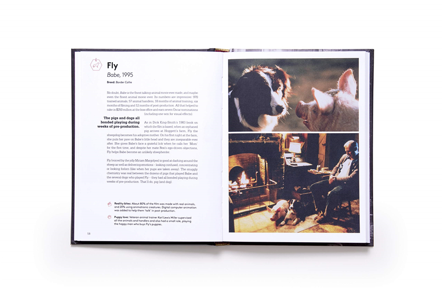 this charming and adorable co