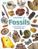 My Book of Fossils，我的化石之书