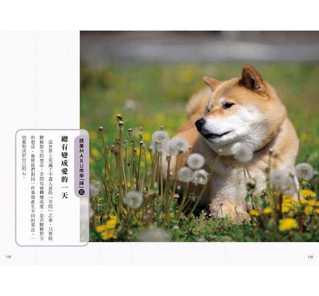 getImage (10).jpg