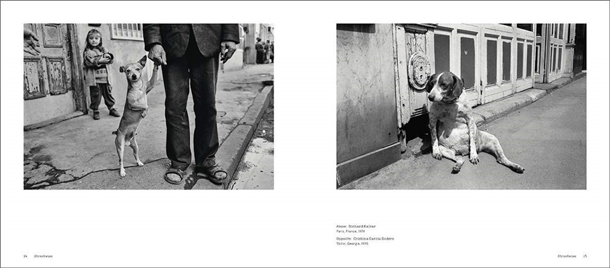 apartments, these photos brim with affection, humour and insight