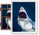 【Art Edition】Michael Muller. Sharks（No. 1-100） ，迈克尔·穆勒:鲨鱼（1-100）