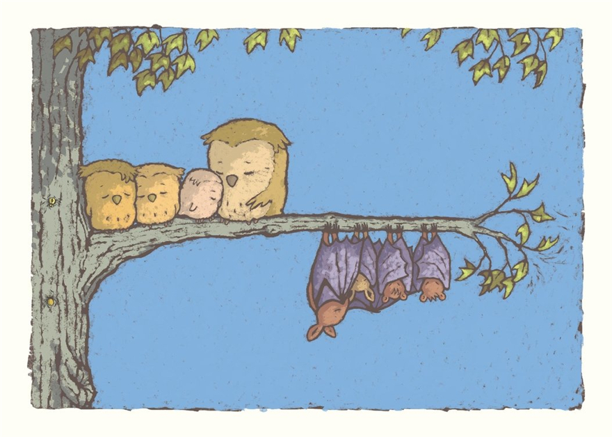 owl bat bat owl,猫头鹰和蝙蝠