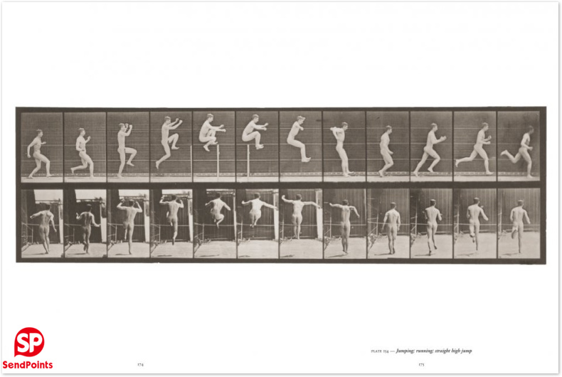 muybridge,埃德沃德·迈布里奇:动物与人类运动摄影 善本文化产业